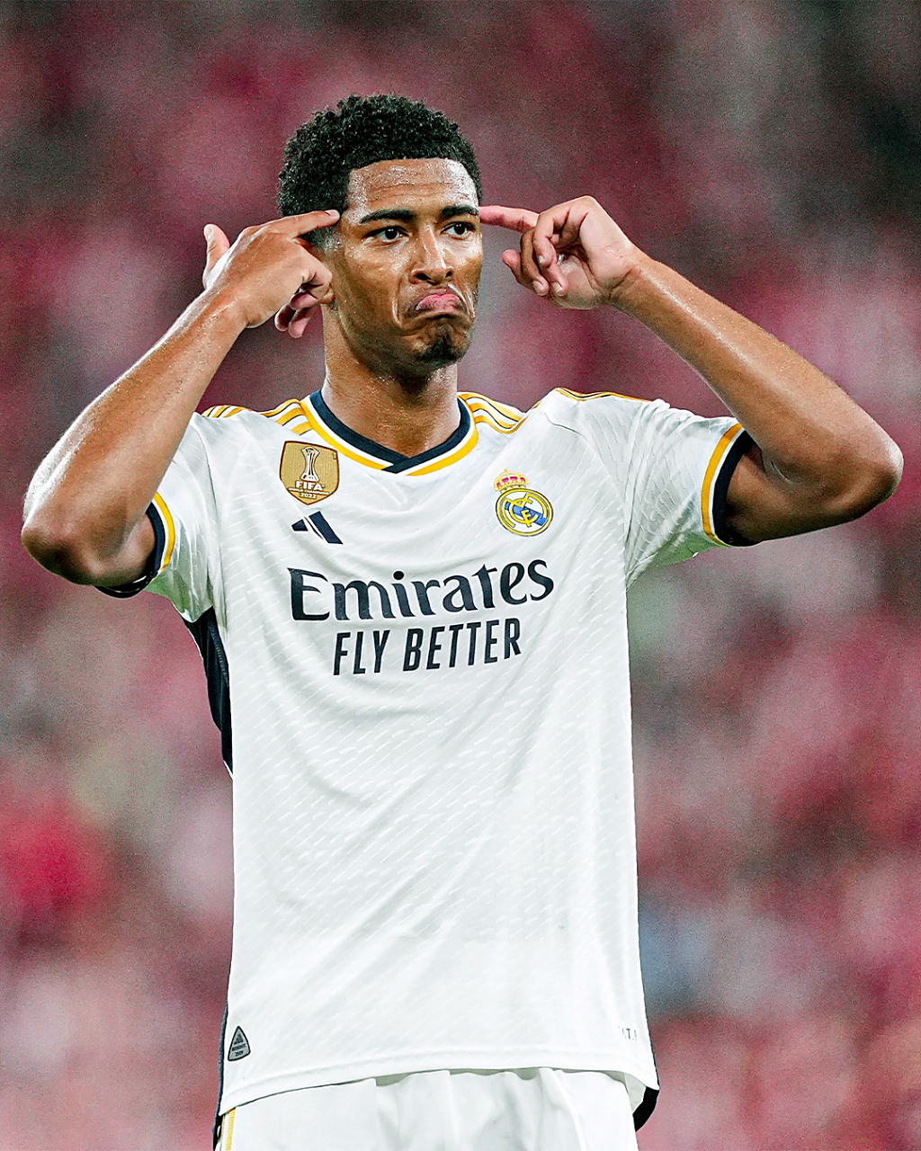 福克斯：历史表明如果你能进杯赛决赛，你就能拿NBA总冠军（福克斯：历史显示只要闯进杯赛决赛，就能拿下NBA总冠军）